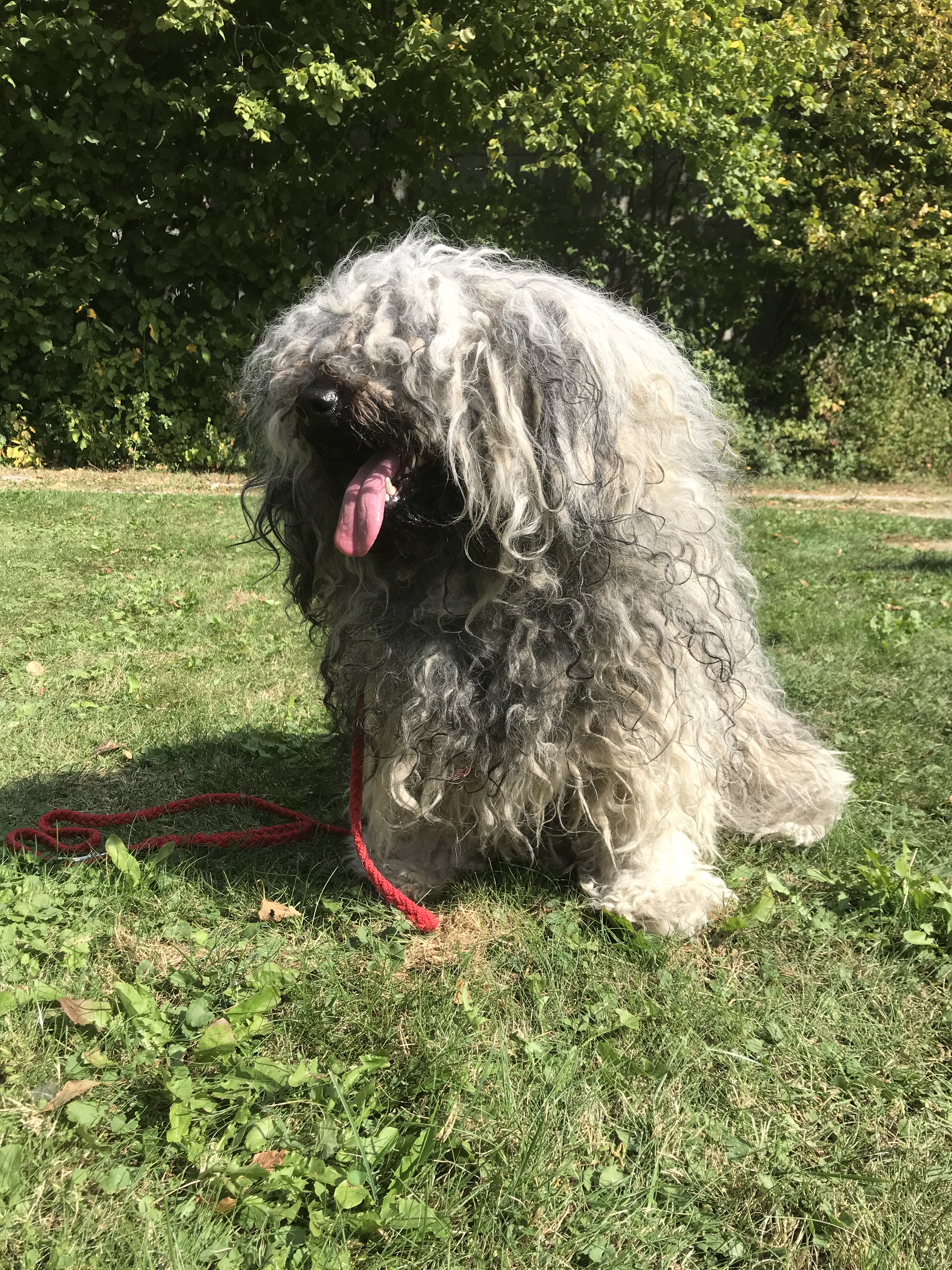 9F0B9363-941A-4E5F-A69A-60D01FD5C466