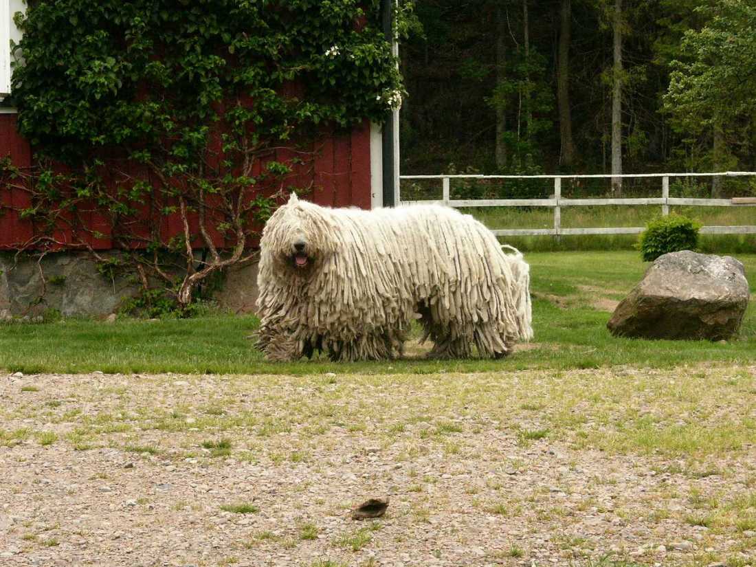 AfrasElternzuBesuch011